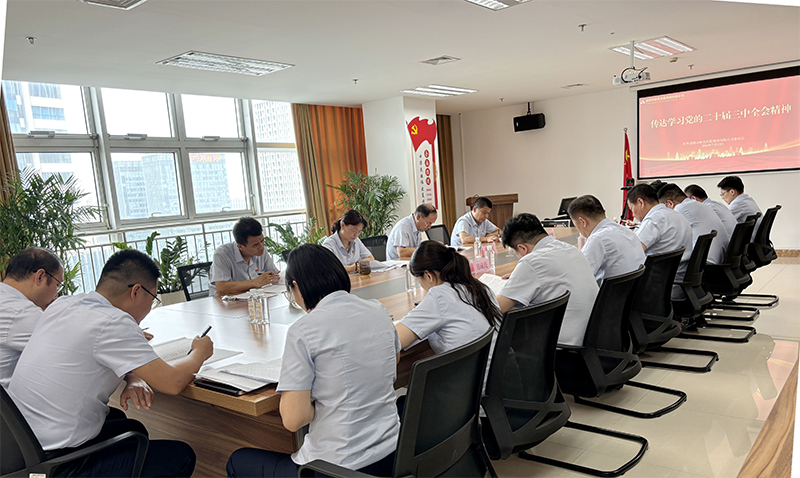 开云登录口网页版集团召开党委扩大会议 传达学习党的二十届三中全会精神